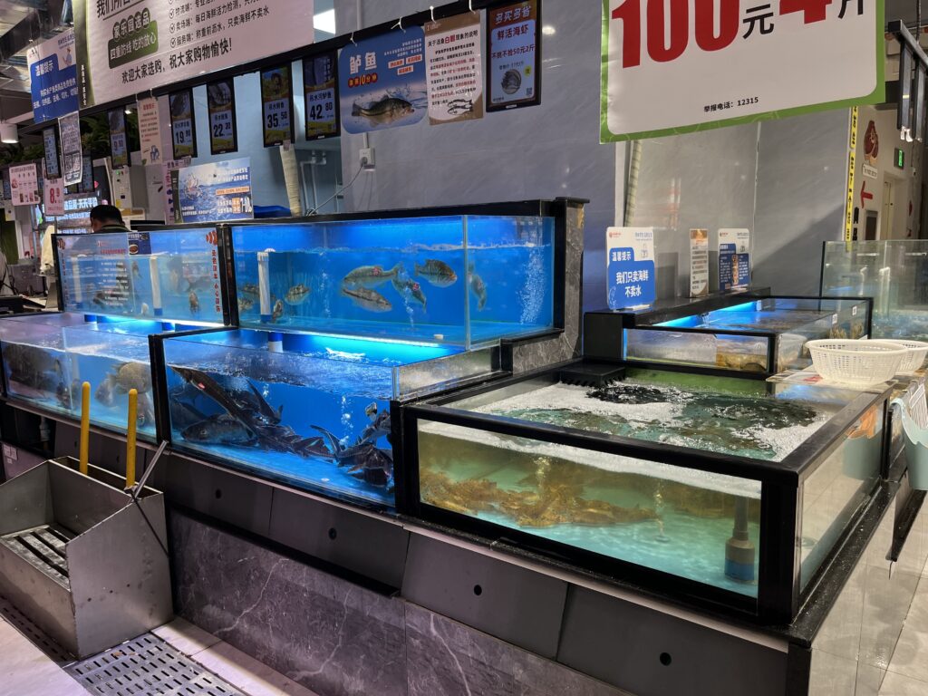 Frischer geht es nicht - Fische im Supermarkt